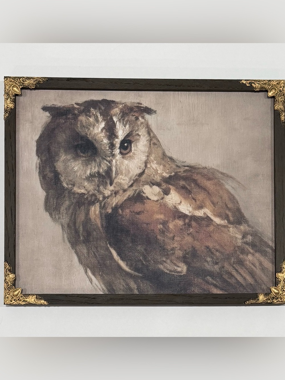 Vintage Style Rustic Owl Canvas Wall Art 8x10